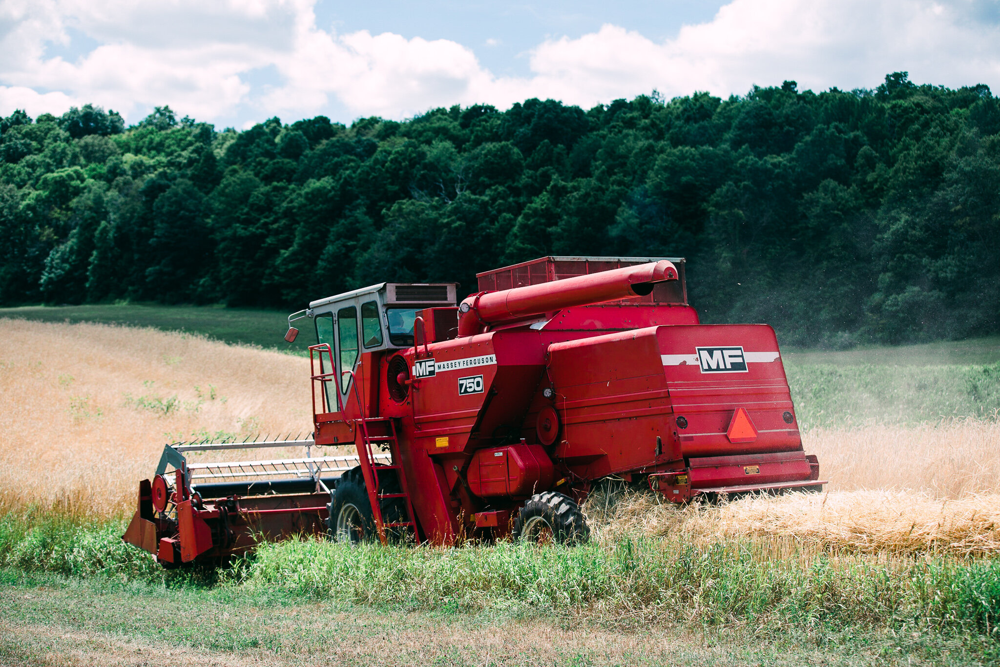 Dancing Star Farm Seed | Growing and Sharing History